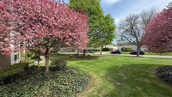 Lush green outdoor spaces